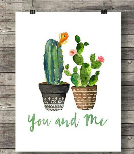 illustración cactus atteatelier